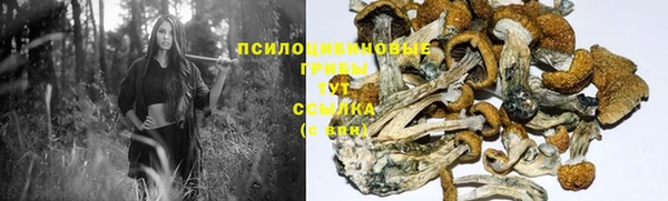 марки nbome Алзамай
